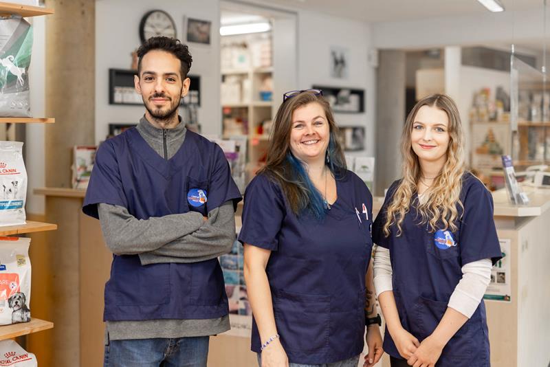 Rezeption - Team